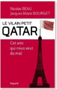 26. Vilain petit qatar.JPG