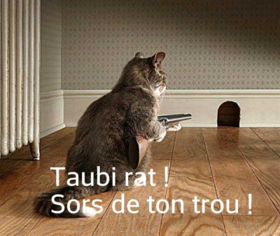 3  bis. Taubirat sors de ton trou !.jpg