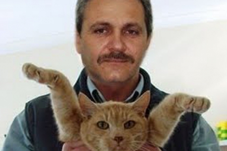 10. Liviu Dragnea.jpg