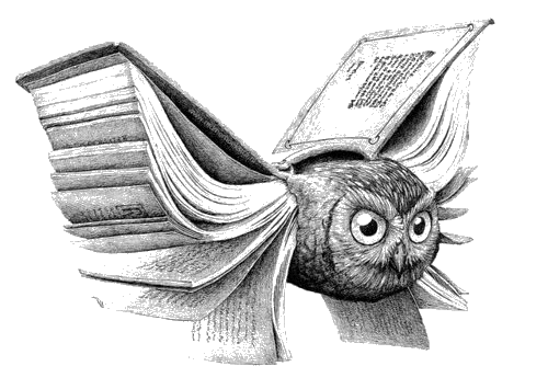 11. Owl - book.gif
