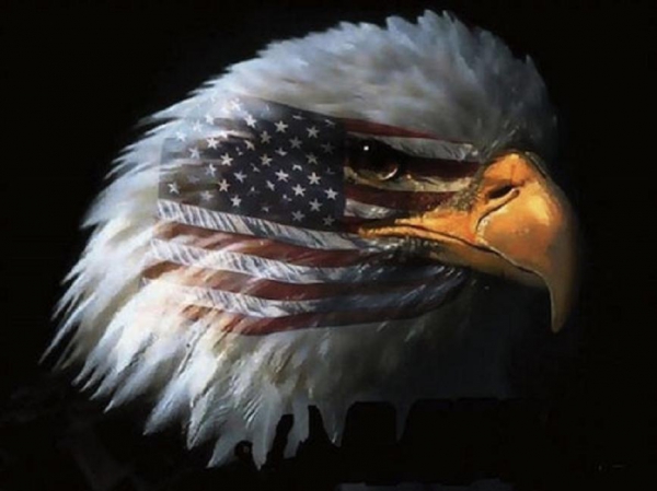 12. aigle-americain-US-eagle.jpg