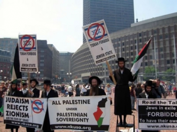 28. Neturei Karta manifestant.jpg