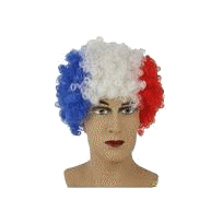 4. perruque-bleu-blanc-rouge.gif