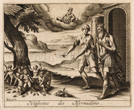 7. Naissance' des Myrmidons.jpg