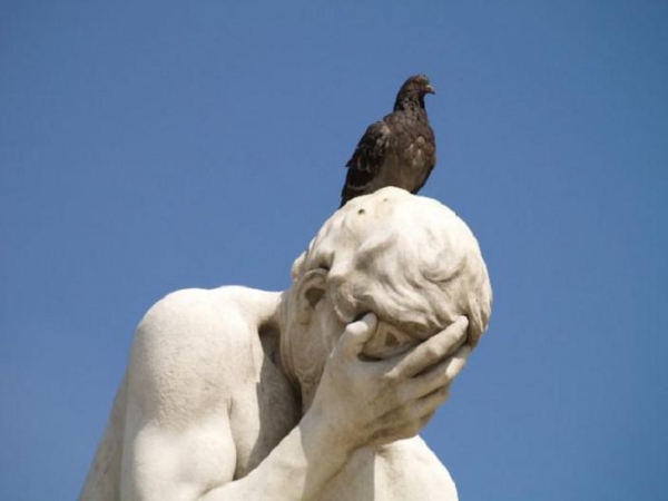12. Pigeon.Statue1-640x480.jpg