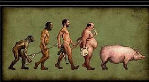 L'évolution humaine.JPG