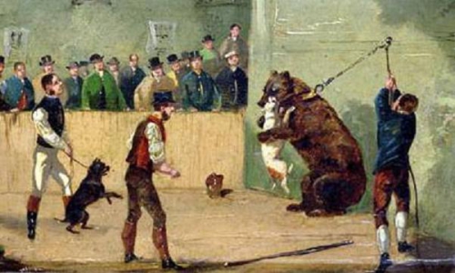 10.  bear_baiting 2.jpg