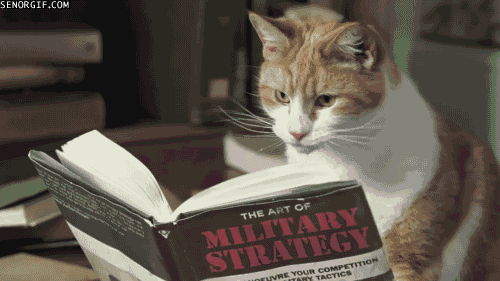 9. CAT READING MILITARY STRATEGY --- GIF.gif