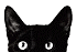 3. Black cat looking.gif
