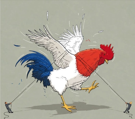 0. Coq tricolore.jpg