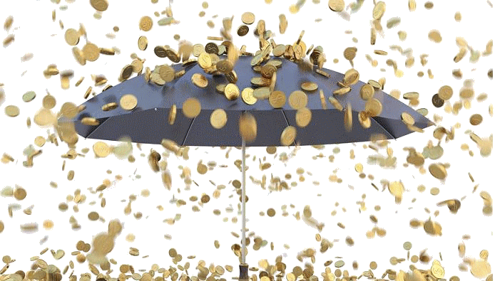 4. raining_money2.gif