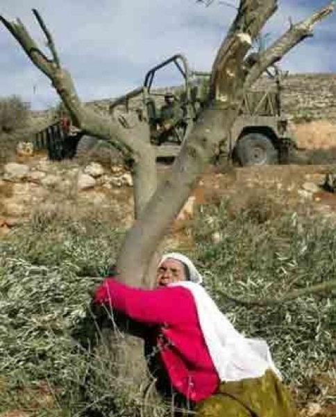 0. Femme palestinienne..JPG